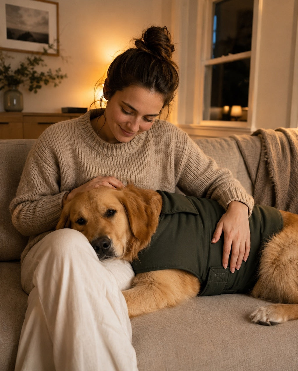 Dog Anxiety Vest